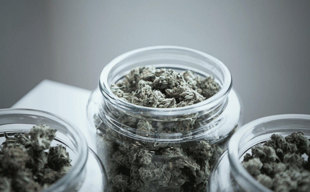 Buying Medical Cannabis