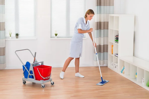 Housekeeping Professional services