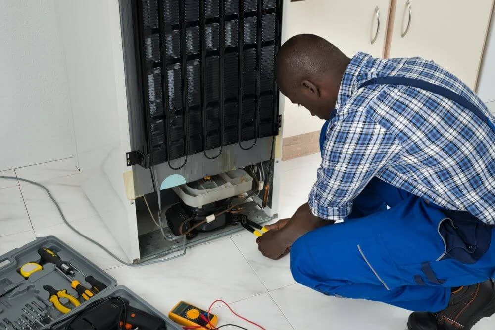 Fridge repairs Durbanville 